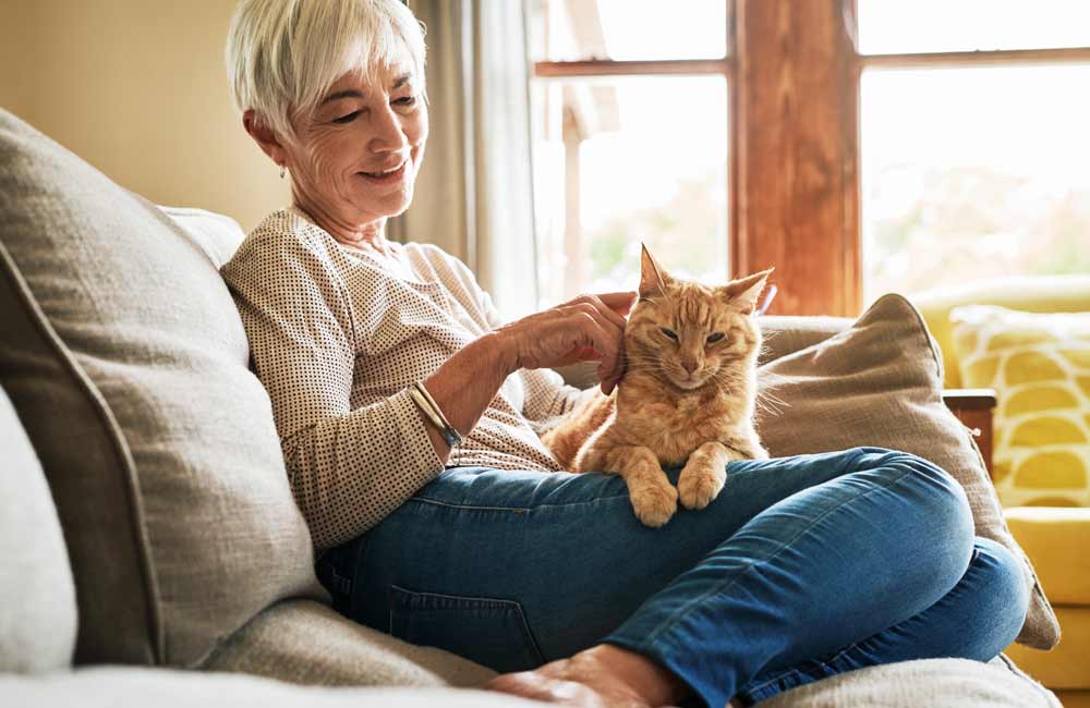 Senior woman sitting on couch while petting a cat with a window in the background.